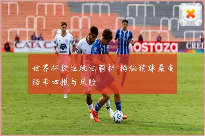 世界杯投注玩法解析 揭秘猜球最高赔率回报与风险