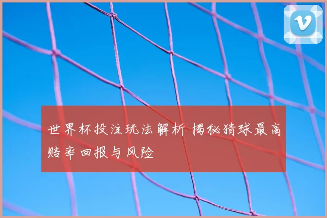 世界杯投注玩法解析 揭秘猜球最高赔率回报与风险